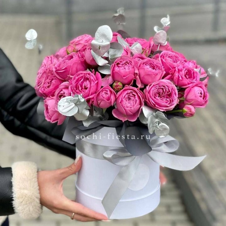 Бокс мисти баблс №2 в Калининграде