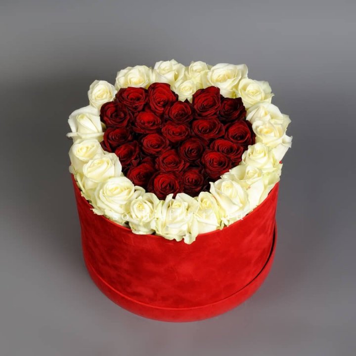 39 красных и белых роз в цилиндре в Калининграде