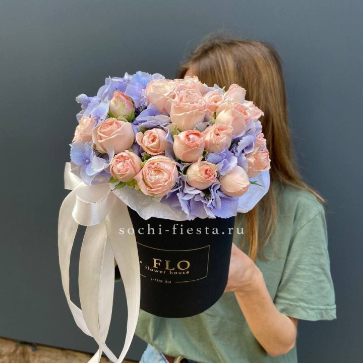 Бокс бомбастик и гортензия в Калининграде