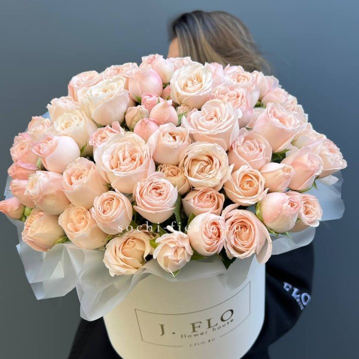 Бомбастик бокс Премьер в Калининграде