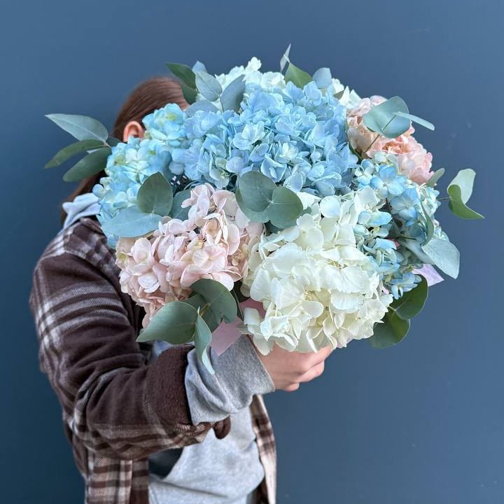 Гортензии в коробочке в Калининграде