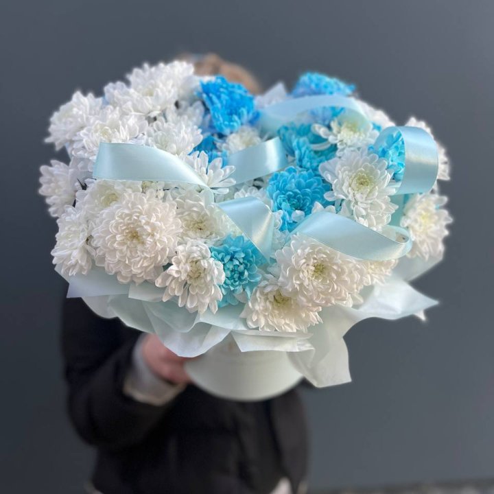 Хризнтемы в боксе в Калининграде