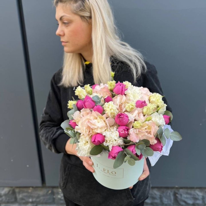 Сборный бокс премьер в Калининграде