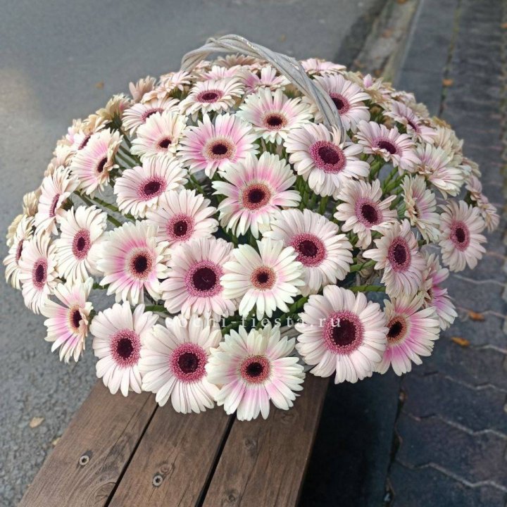 Корзина с герберами  в Калининграде