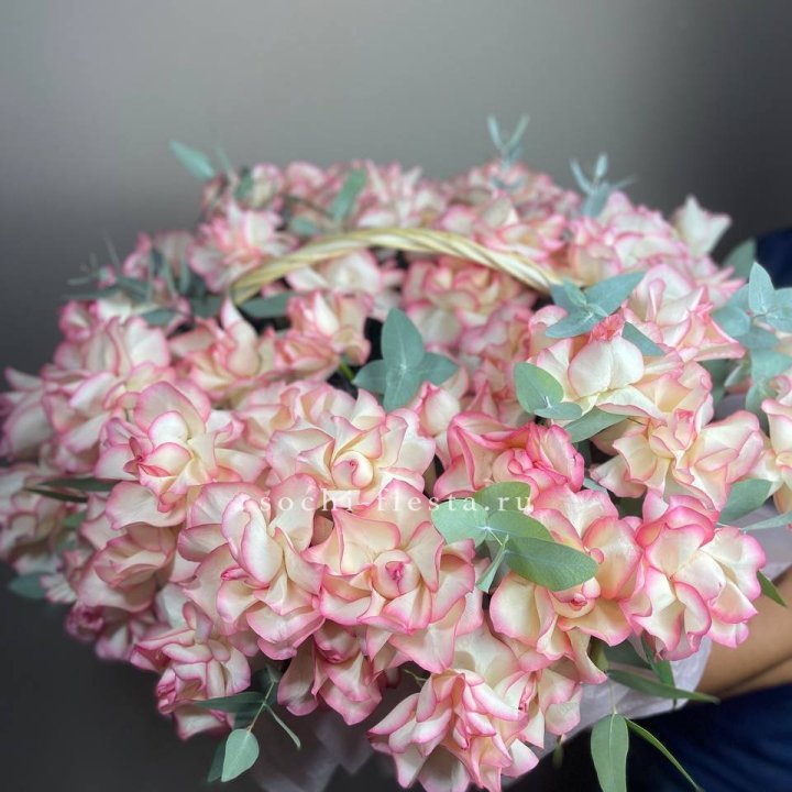 51 джумилия  в корзине   в Калининграде