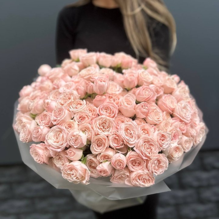 51 кустовая роза Бомбастик в Калининграде