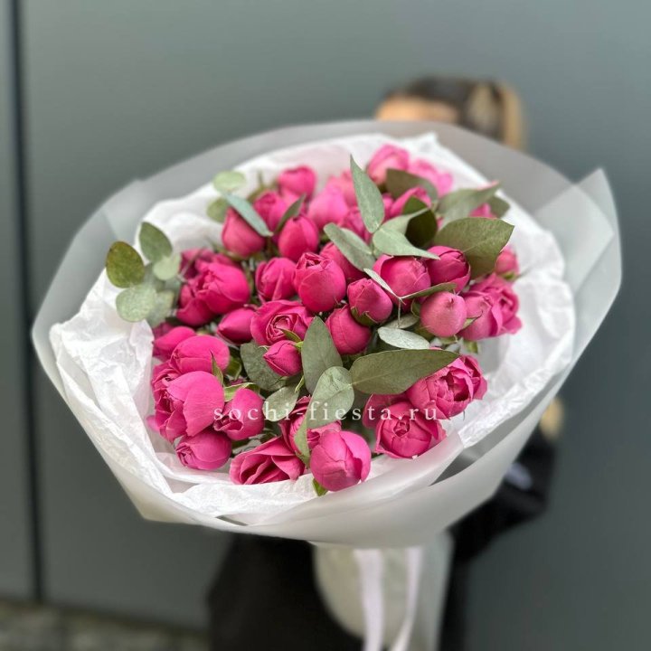 17 Мисти бабблс в Калининграде