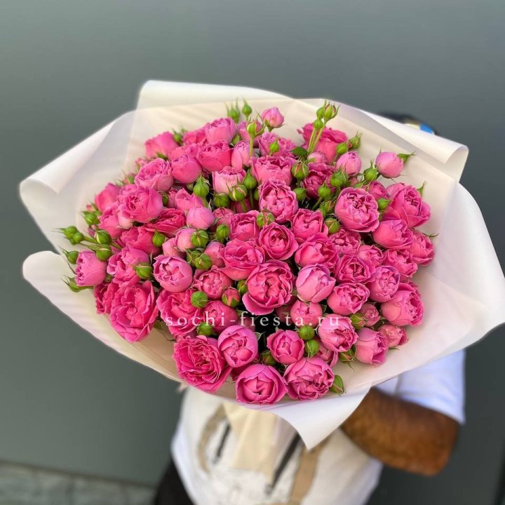 Мисти Баблс 35шт в Калининграде