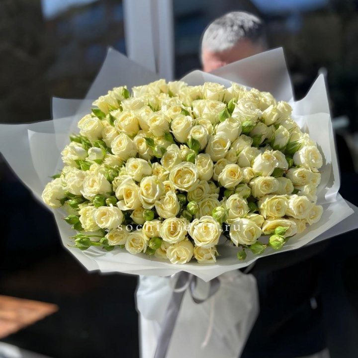 Белые кустовые розы 31 шт в Калининграде