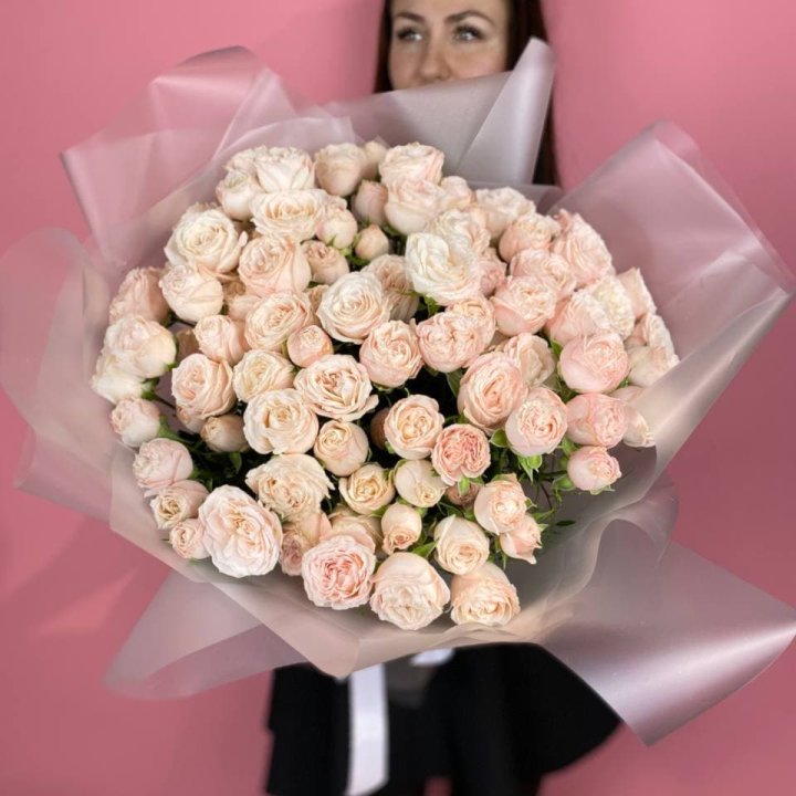 Carina в Калининграде