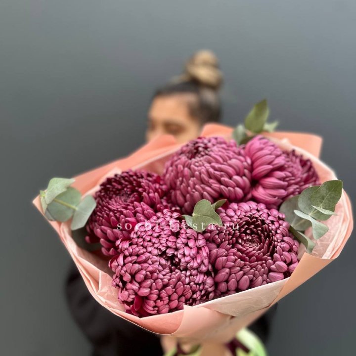 Хризантемы  Бигуди  в Калининграде