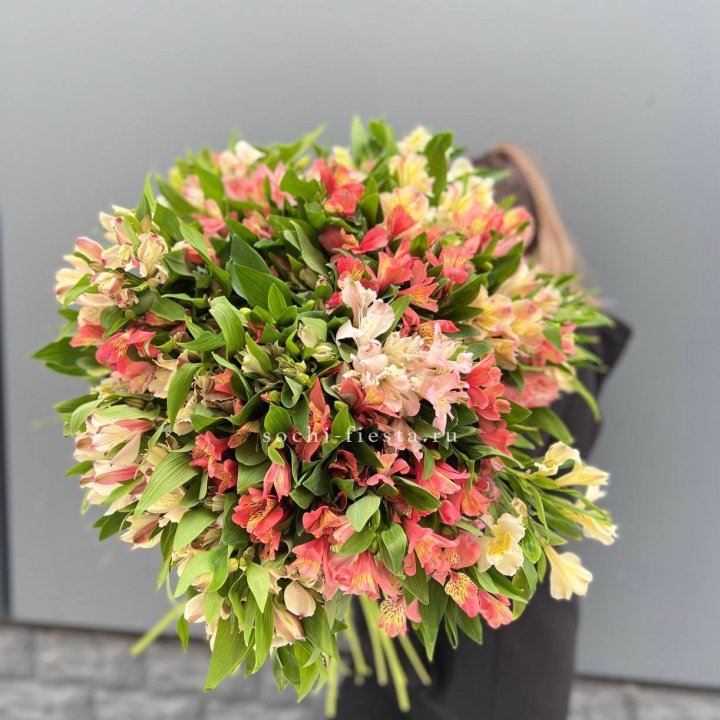 51 альстромерия в Калининграде