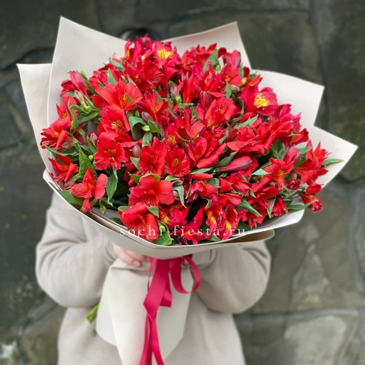 51 альстромерия в Калининграде