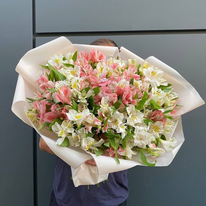 39 альстромерий в Калининграде