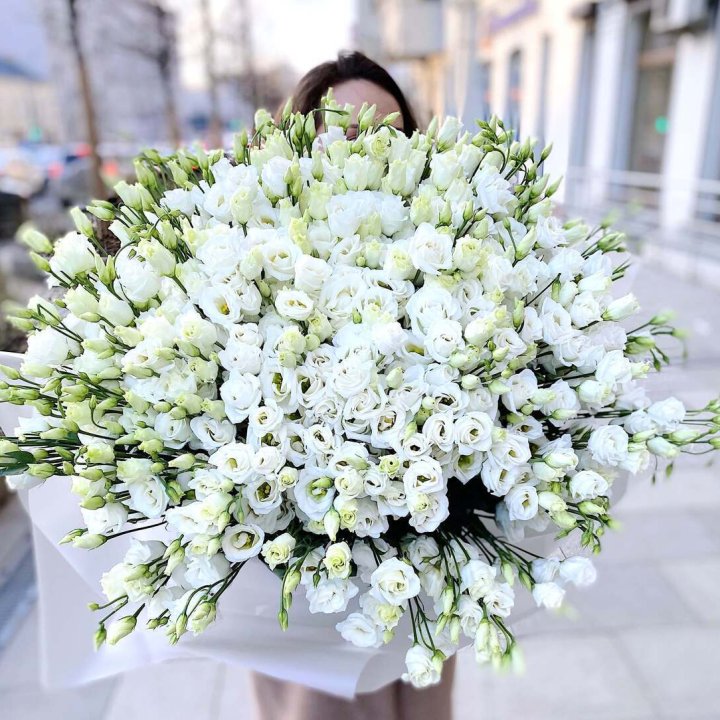 101 белая эустома в Калининграде