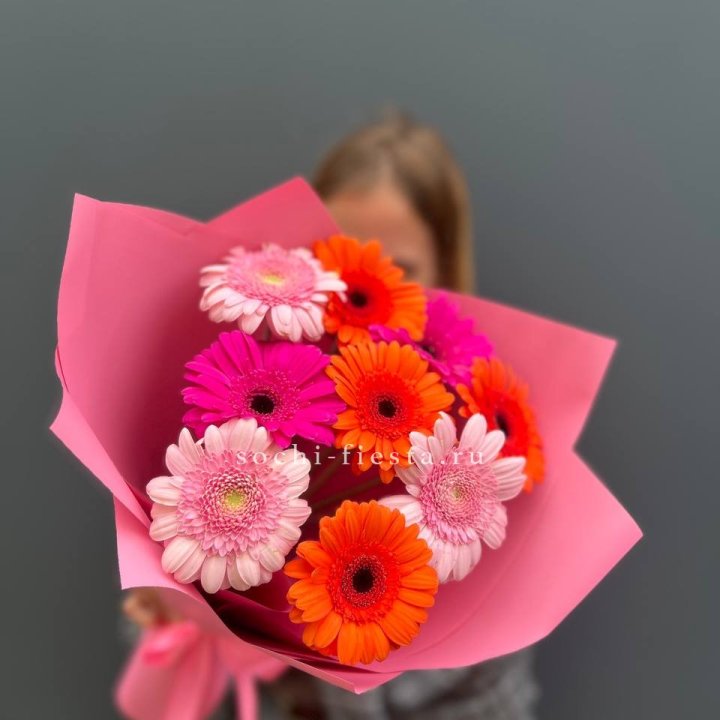 Краски в Калининграде