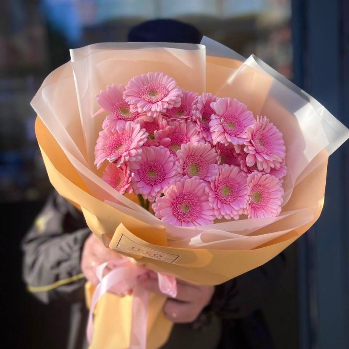 17 розовых гербер  в Калининграде