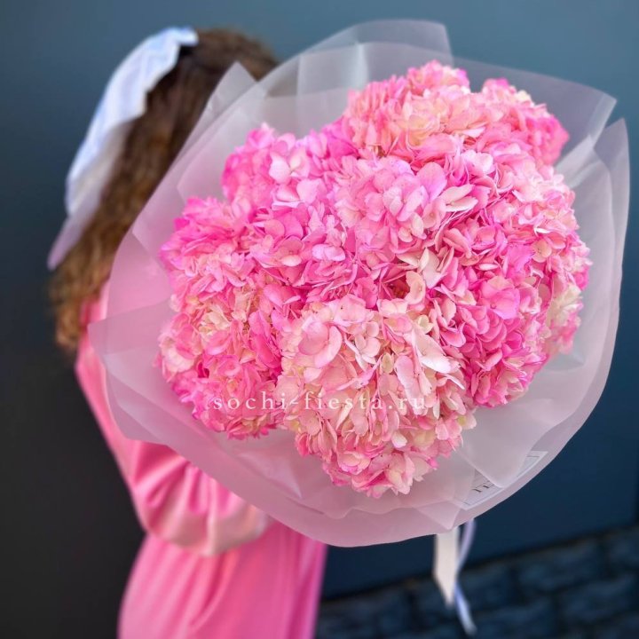 7 ярко розовых гортензий в Калининграде