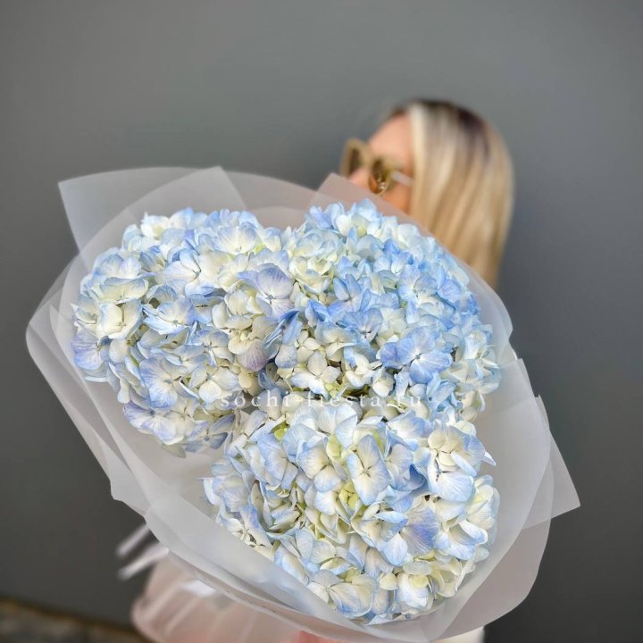Букет из 3 голубых гортензий  в Калининграде