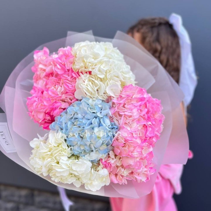 7 гортензий микс в Калининграде
