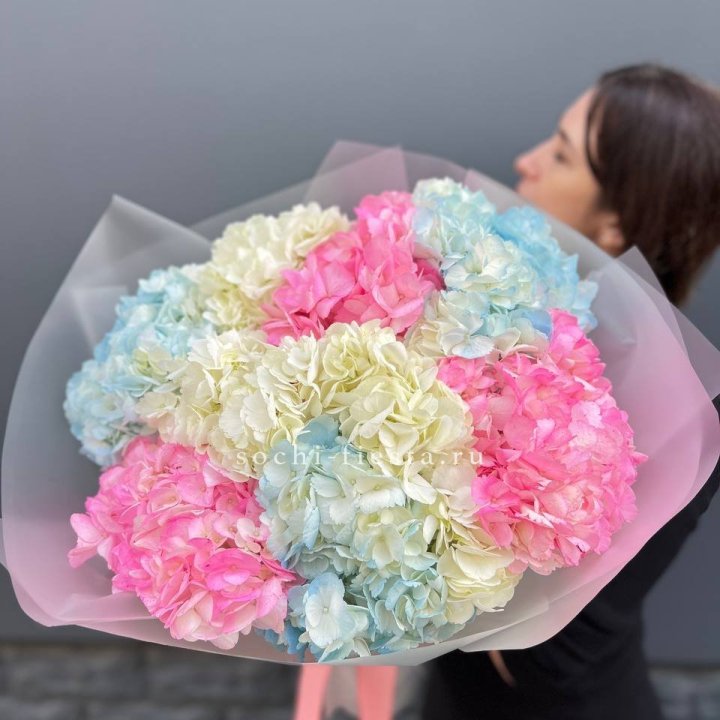 9 гортензий микс в Калининграде