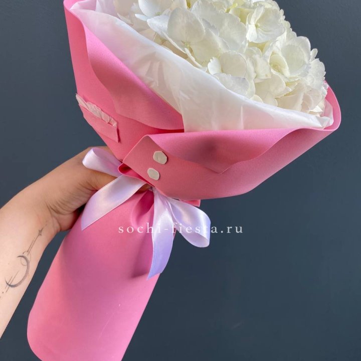 Гортензия в розовом пиджаке в Калининграде