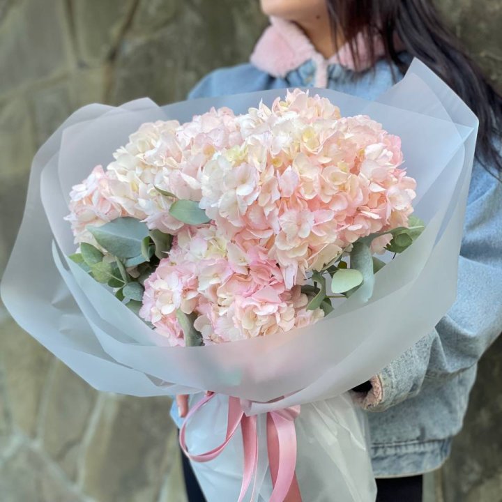 5 розовых гортензий в Калининграде