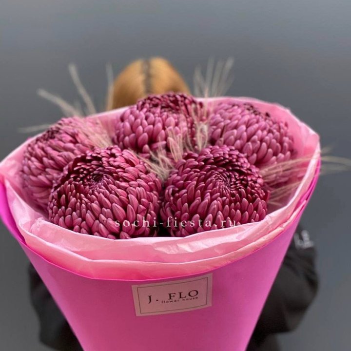 Хризантемы  Бигуди с стифой в Калининграде