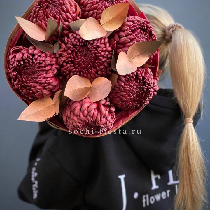 Хризантемы "Голд шоколад" в Калининграде