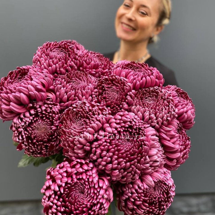 Охапка хризантем Бигуди в Калининграде