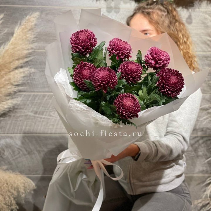 Хризантемы Бигуди в Калининграде