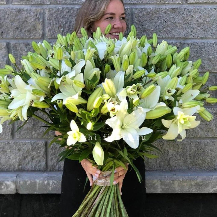 51 лилия в Калининграде