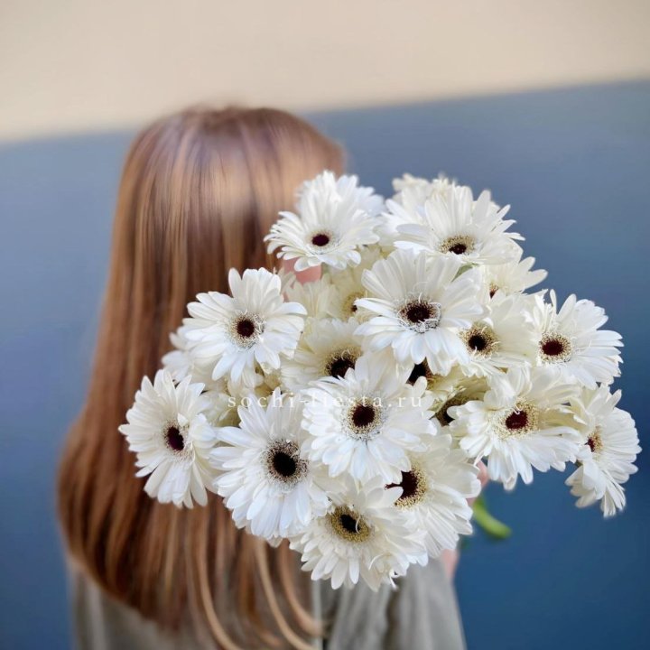 Охапка гербер в Калининграде