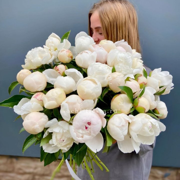 Охапка пионов в Калининграде