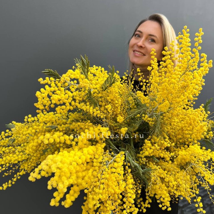 Охапка мимозы №2 в Калининграде