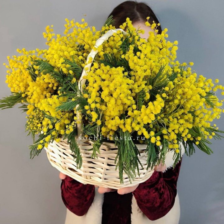 Корзина ароматной мимозы в Калининграде