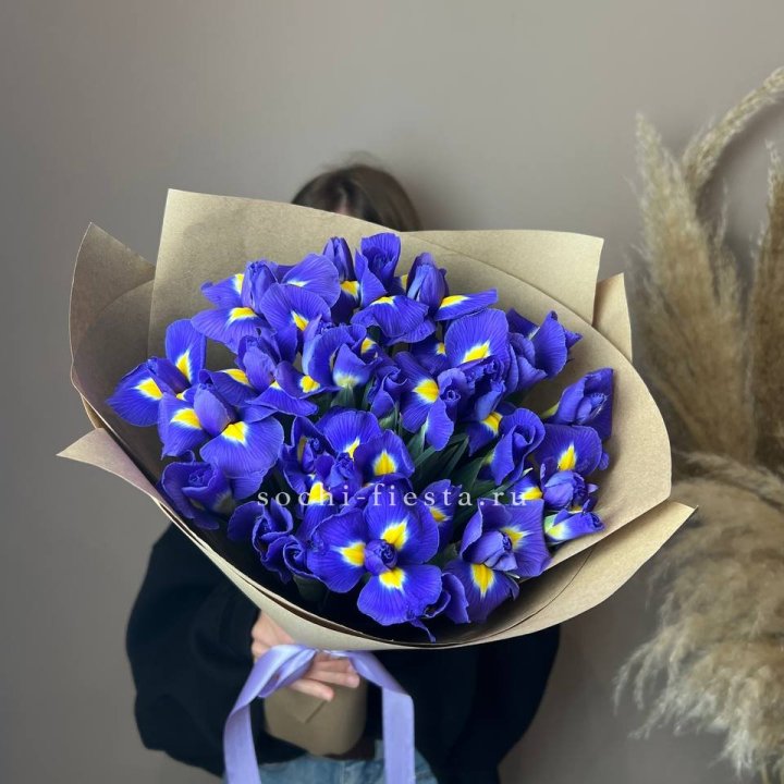 Ирисы в Калининграде