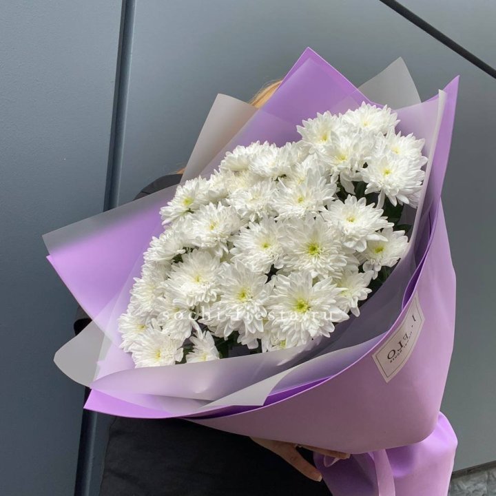  7 хризантем  в Калининграде