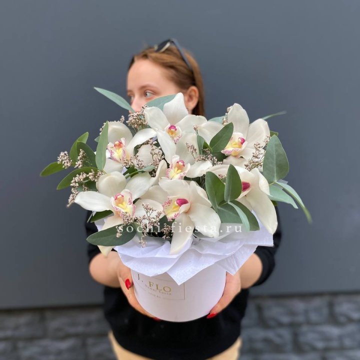 7 орхидей в боксе в Калининграде