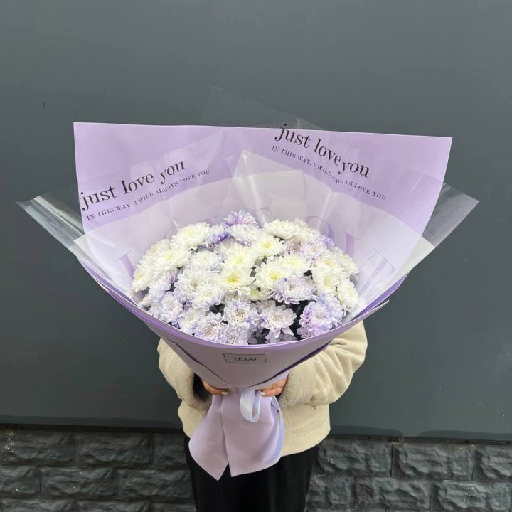 9 воздушных хризантем в Калининграде