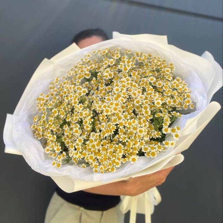 Букет ромашек №2 в Калининграде