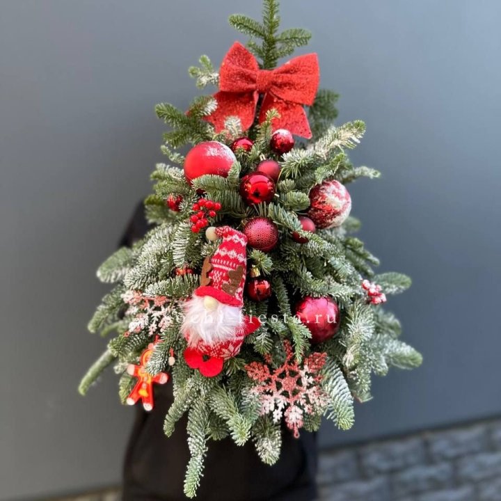 Новогодняя елочка "Ред" в Калининграде