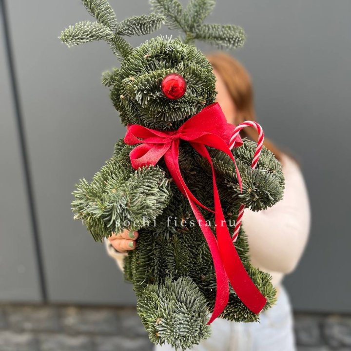 "Олень" из нобилиса в Калининграде