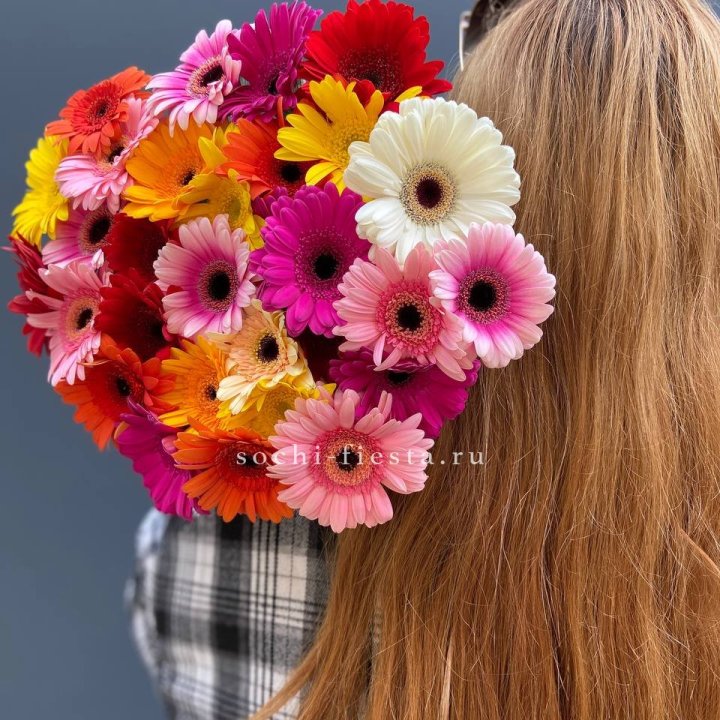 Охапка гербер  в Калининграде