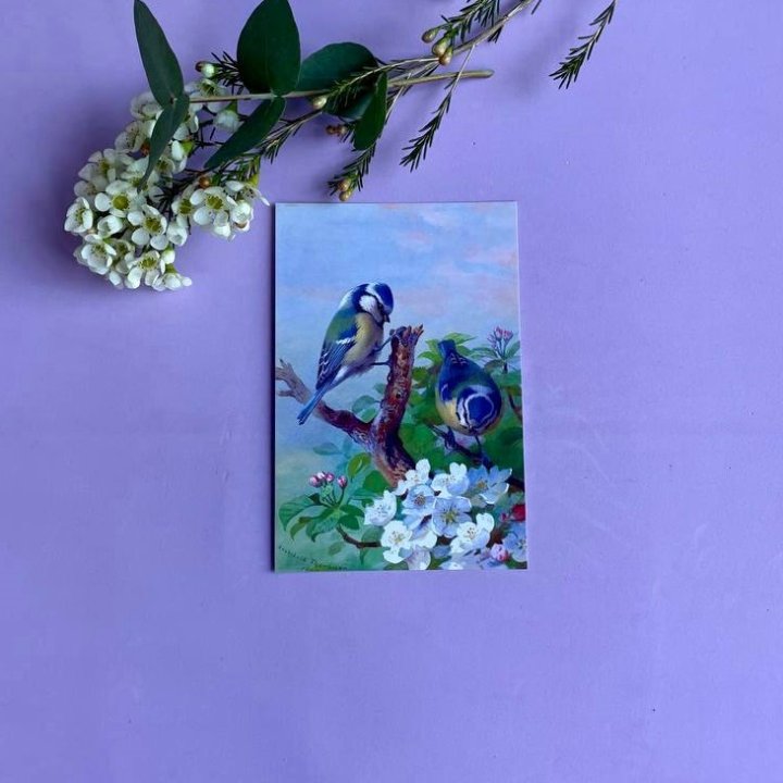 Открытка к букету "Птицы" в Калининграде