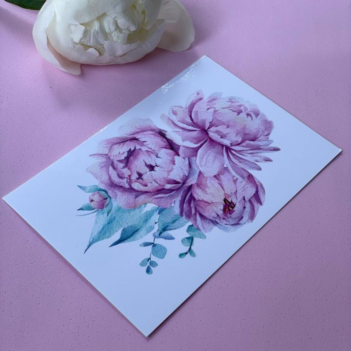 Открытка к букету "Пионы" в Калининграде