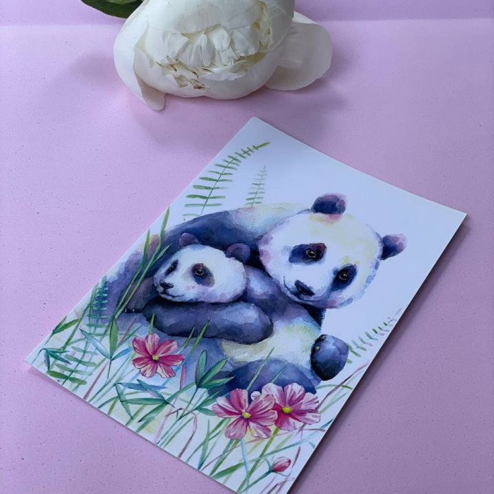 Открытка к букету "Объятие Панды" в Калининграде