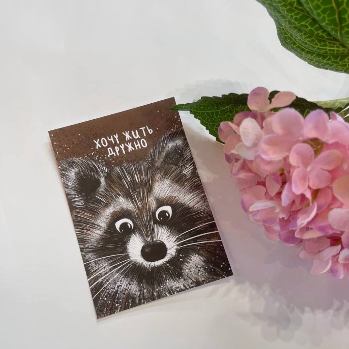 Открытка к букету "Енотик" в Калининграде