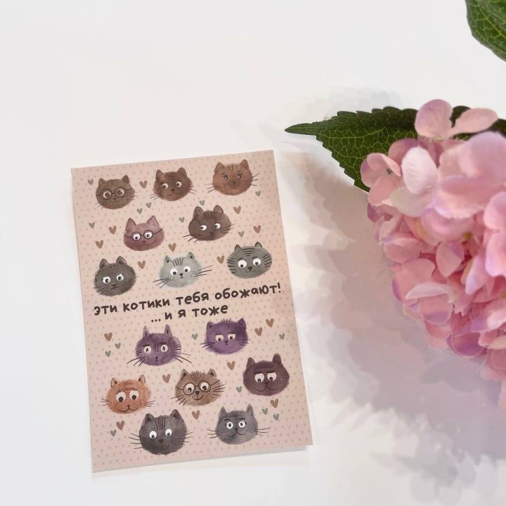 Открытка к букету "Котики" в Калининграде