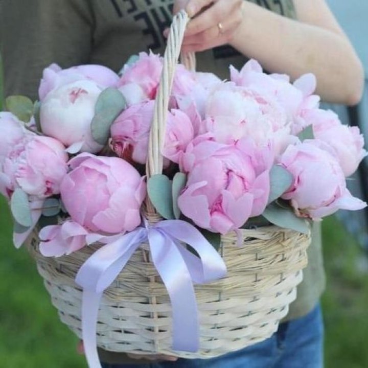 15 пионов в корзине в Калининграде